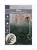 Picture of OLIVE DWARF PEACE