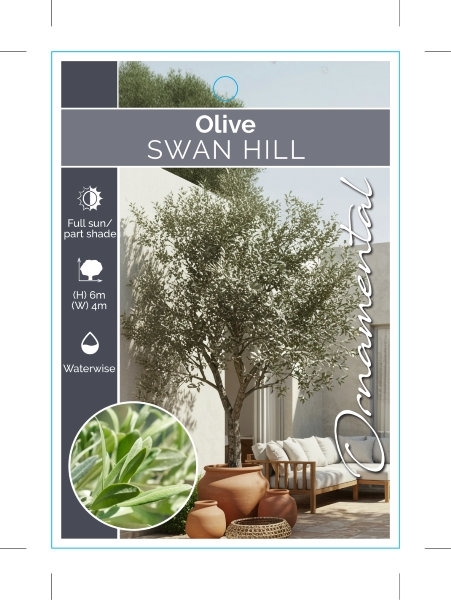 Picture of OLIVE SWAN HILL
