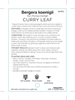 Picture of MURRAYA KOENIGII CURRY LEAF                                                                                                                           